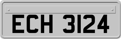 ECH3124