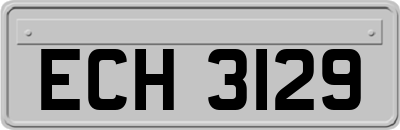 ECH3129