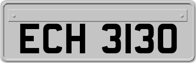 ECH3130