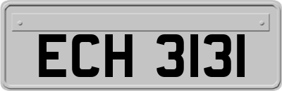 ECH3131