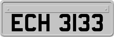 ECH3133