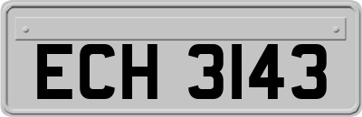 ECH3143