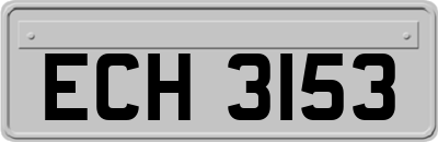 ECH3153