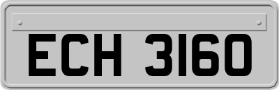 ECH3160
