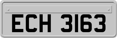 ECH3163