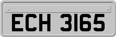 ECH3165