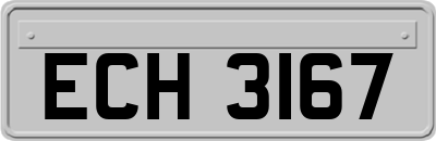 ECH3167
