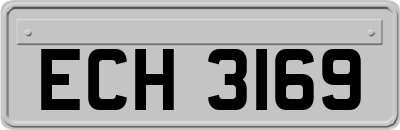 ECH3169