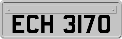 ECH3170