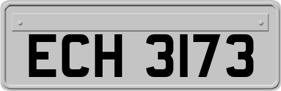 ECH3173
