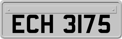 ECH3175