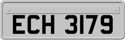 ECH3179