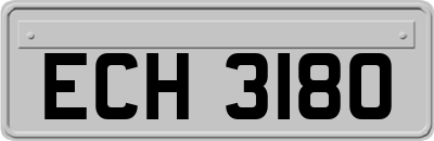 ECH3180