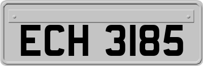 ECH3185