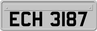 ECH3187