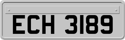 ECH3189