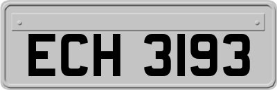 ECH3193