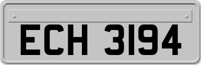 ECH3194