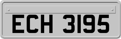 ECH3195