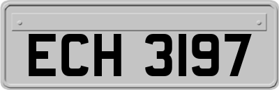 ECH3197
