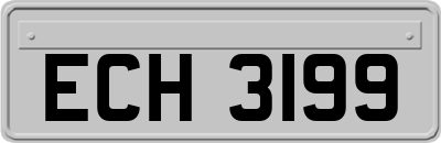ECH3199