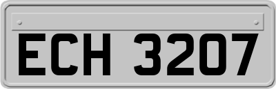 ECH3207
