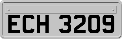 ECH3209