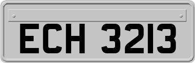 ECH3213