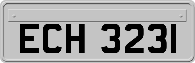ECH3231
