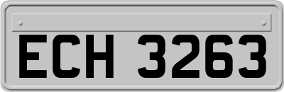 ECH3263