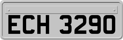 ECH3290
