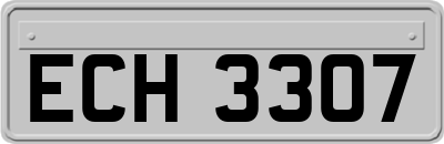 ECH3307