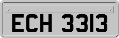 ECH3313