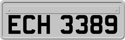 ECH3389