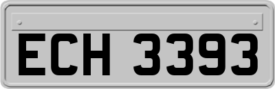 ECH3393