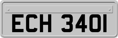 ECH3401