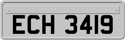 ECH3419