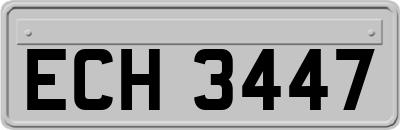ECH3447