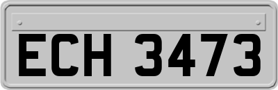 ECH3473