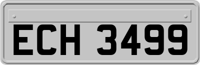 ECH3499