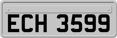 ECH3599