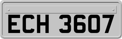 ECH3607