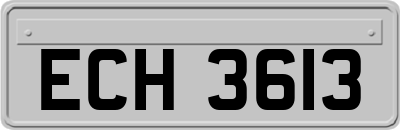 ECH3613