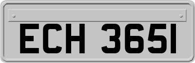ECH3651