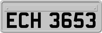 ECH3653
