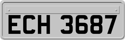 ECH3687