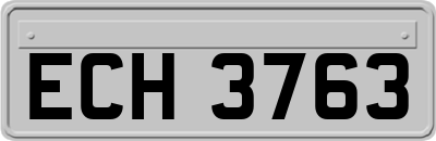 ECH3763