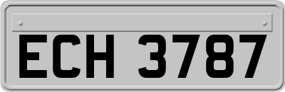ECH3787