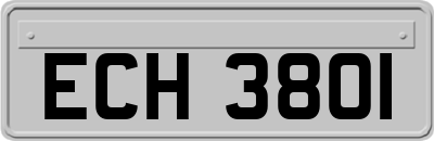 ECH3801