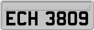 ECH3809